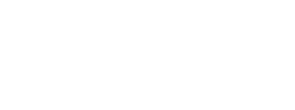 TIMS SLP