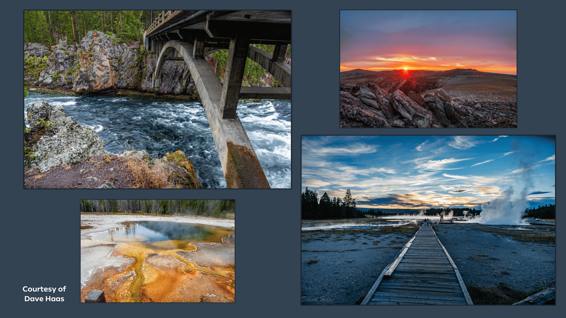 Dave Haas Yellowstone 1