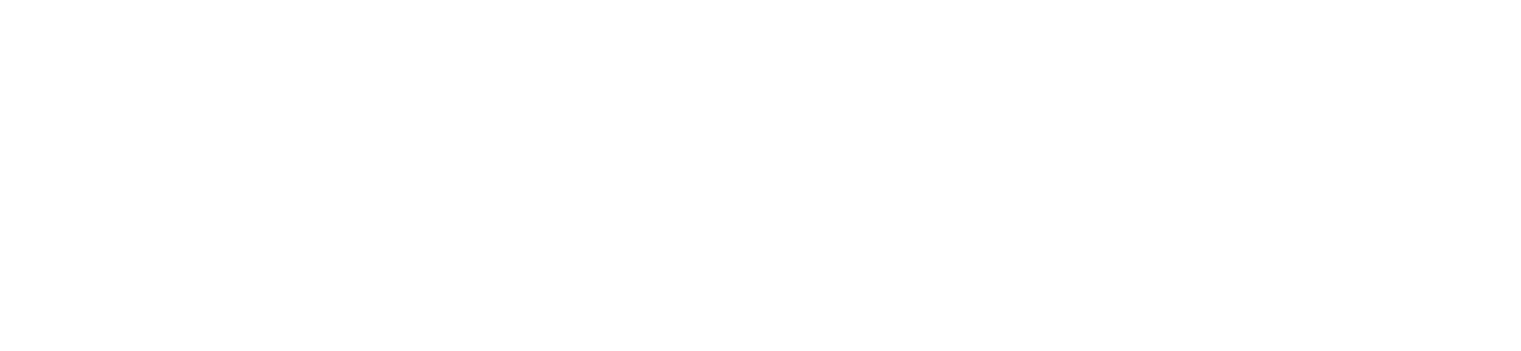 OFFICIAL-TIMS-Software-Service-Support-White-Open-Sans-1